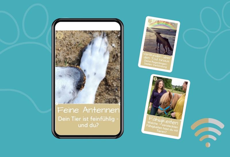 Animal Creation Tier Orakelkarten Tierkarten ziehen gratis online