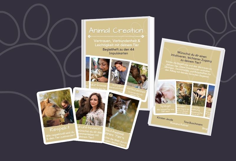 Animal Creation® Tierkarten ziehen gratis online