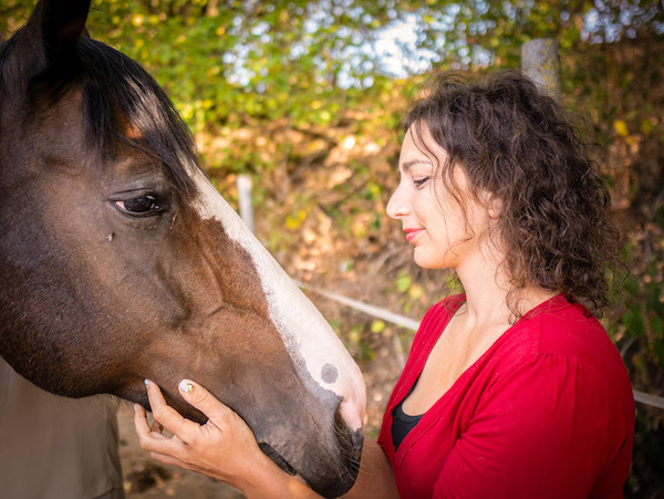 Mensch-Tier-Beziehung Pferd