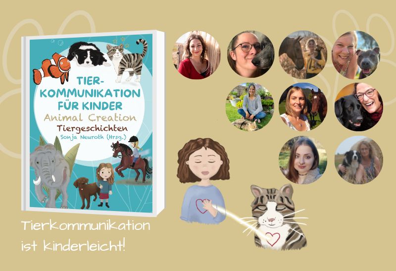 Tierkommunikation Buch Animal Creation