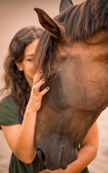 Tierkommunikation Mensch Pferd